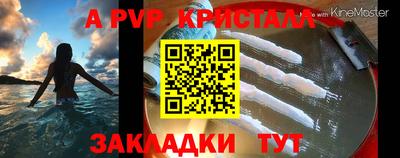 ECSTASY Будённовск