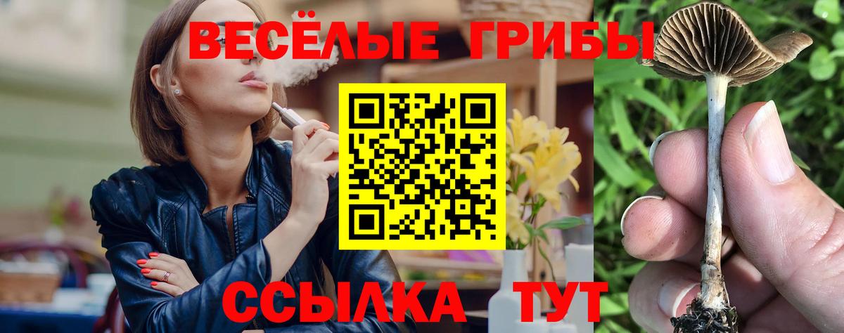 Псилоцибиновые грибы Magic Shrooms  купить наркотик  Кулебаки  Вход с VPN 